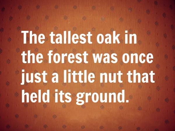 We all start as little nuts.